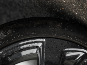 2022GS (q)\(yn)(dng) ݆̥ߴ