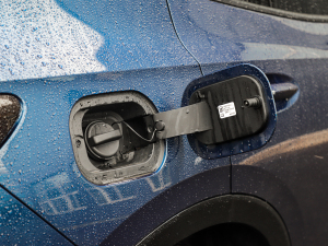 2022GS (q)\(yn)(dng) w