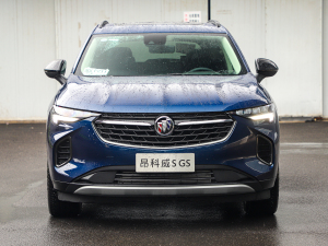 2022款GS 四驱运动型 中网