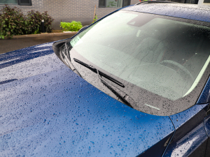 2022GS (q)\(yn)(dng) ˢ