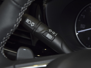 2022(q) AvenirS п؅^(q)