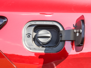 2022552T (q)A (x)(ji)^