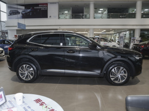 2022552T 򌾫Ӣ ȣң