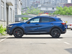 2022款改款 GS 两驱智享运动型 正侧（左）