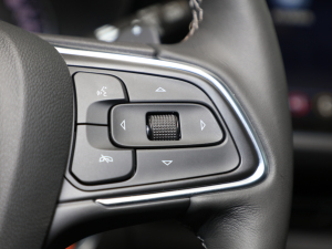 2021652T (q)A п؅^(q)