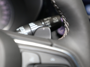 2021652T (q)A п؅^(q)