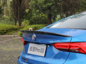 2022Pro GS L(fng) (x)(ji)^