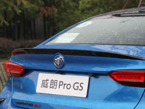 2022Pro GS L(fng) (x)(ji)^