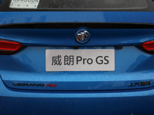 2022Pro GS L(fng) (x)(ji)^