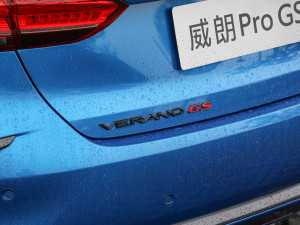 2022Pro GS L(fng) (x)(ji)^