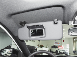 2022Pro GS ׷L(fng) (yng)壨