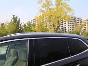 2022652T (q)AvenirS 6 (ji)^