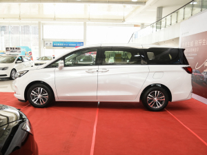 2022款ES陆尊 653T 舒适型 正侧（左）