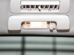 2022Ϲ(w)œ 652T F п؅^(q)