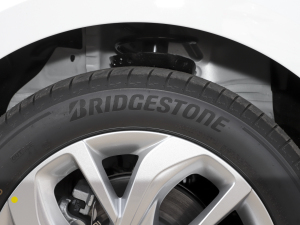 2022PLUS ݆̥Ʒ