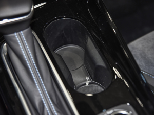 2022ǻPLUS ǰű