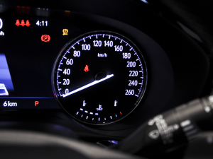 2022A(y)venirS  п؅^(q)