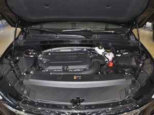 2022A(y)venirS  l(f)әC