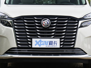 2023款ES陆尊 653T 舒适型 中网