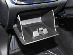 2023Pro GS CL(fng) g