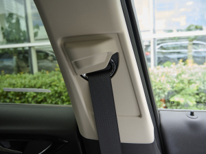 2023Plus 652T A g