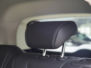 2023Plus 652T A g