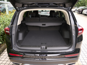 2023Plus 652T A g