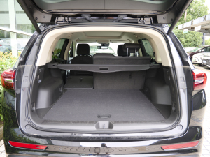 2023Plus 652T A g