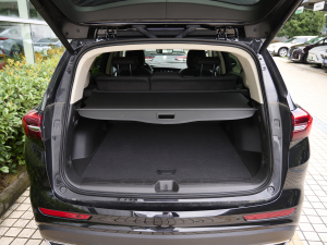 2023Plus 652T A g