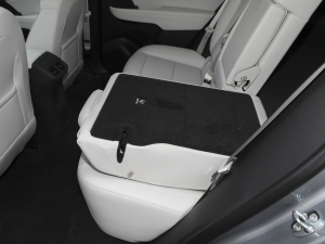 2024Plus AvenirS g