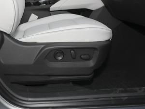 2024Plus AvenirS g