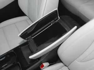 2024Plus AvenirS g