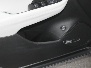 2024Plus AvenirS g