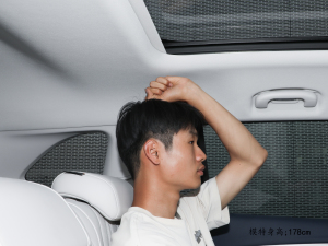 2024Plus AvenirS g