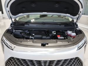 2025款2.0T 七座蕴世版 其它