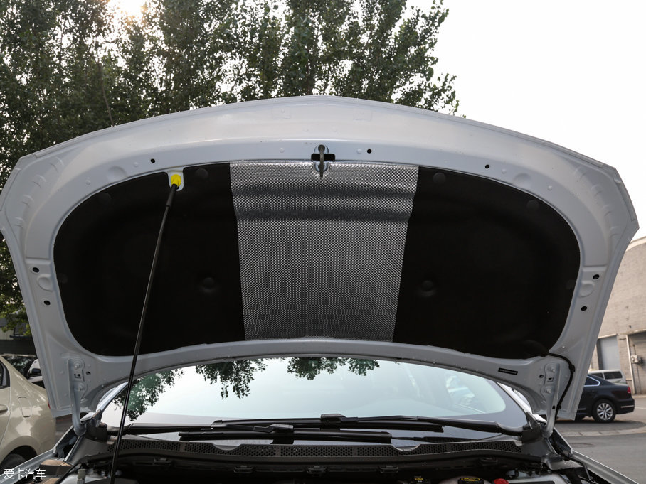 2017Pro  20T pxI(lng)