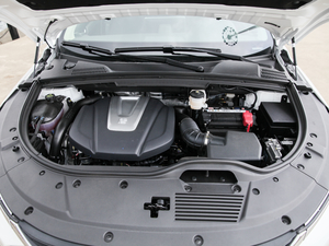 2018款2.0T 自动智联尊耀型 7座 国V 发动机
