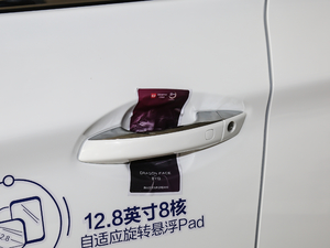2019款EV 500 智联领耀型 主驾门拉手