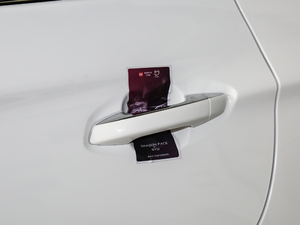 2019EV 500 (lin)I(lng)ҫ (x)(ji)^