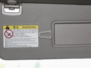 2019EV 500 (lin)I(lng)ҫ g