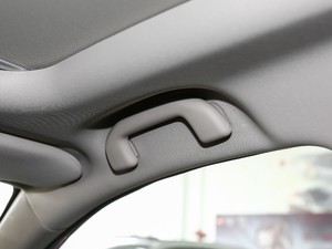 2019EV 500 (lin)I(lng)ҫ g