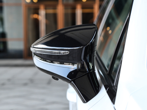 2019DM 2.0T pF 7 VI ^