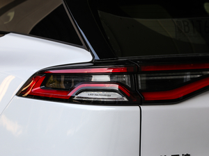 2019DM 2.0T pF 7 VI ^