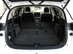 2019DM 2.0T p(q)F 7 VI g