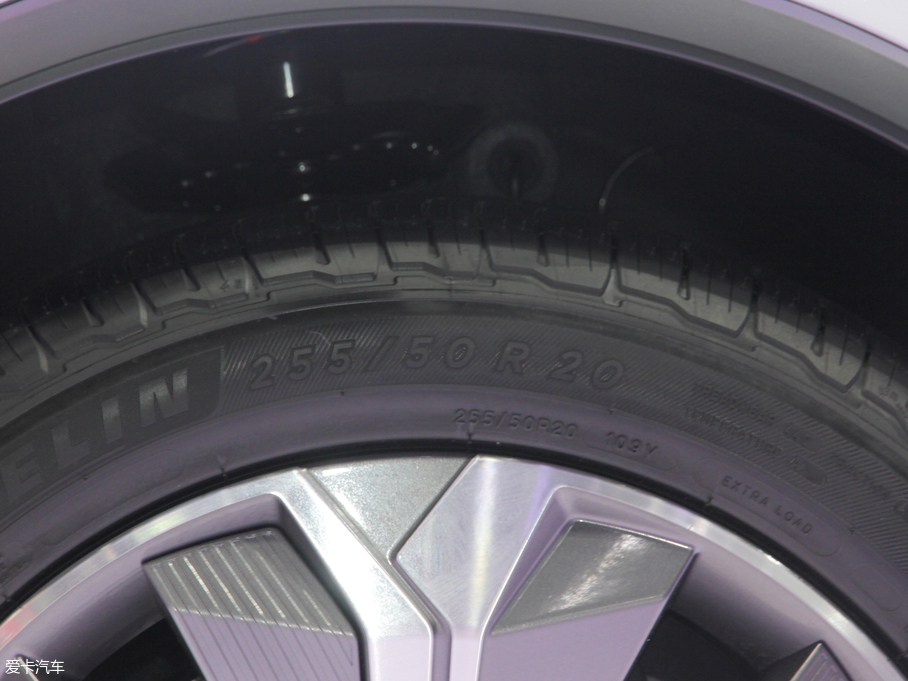 2019EV EV600D (q)(lin)(chung)