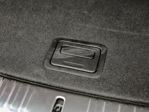 2019EV600D (q)(lin)(chung) g