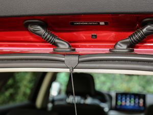 2019EV600D (q)(lin)(chung) g