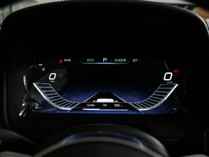 2019EV600 (q)(lin)(chung) x