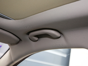 2019EV360 (lin)I(lng) g