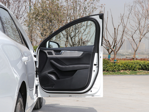 2019ܰ 1.5TI քh V g